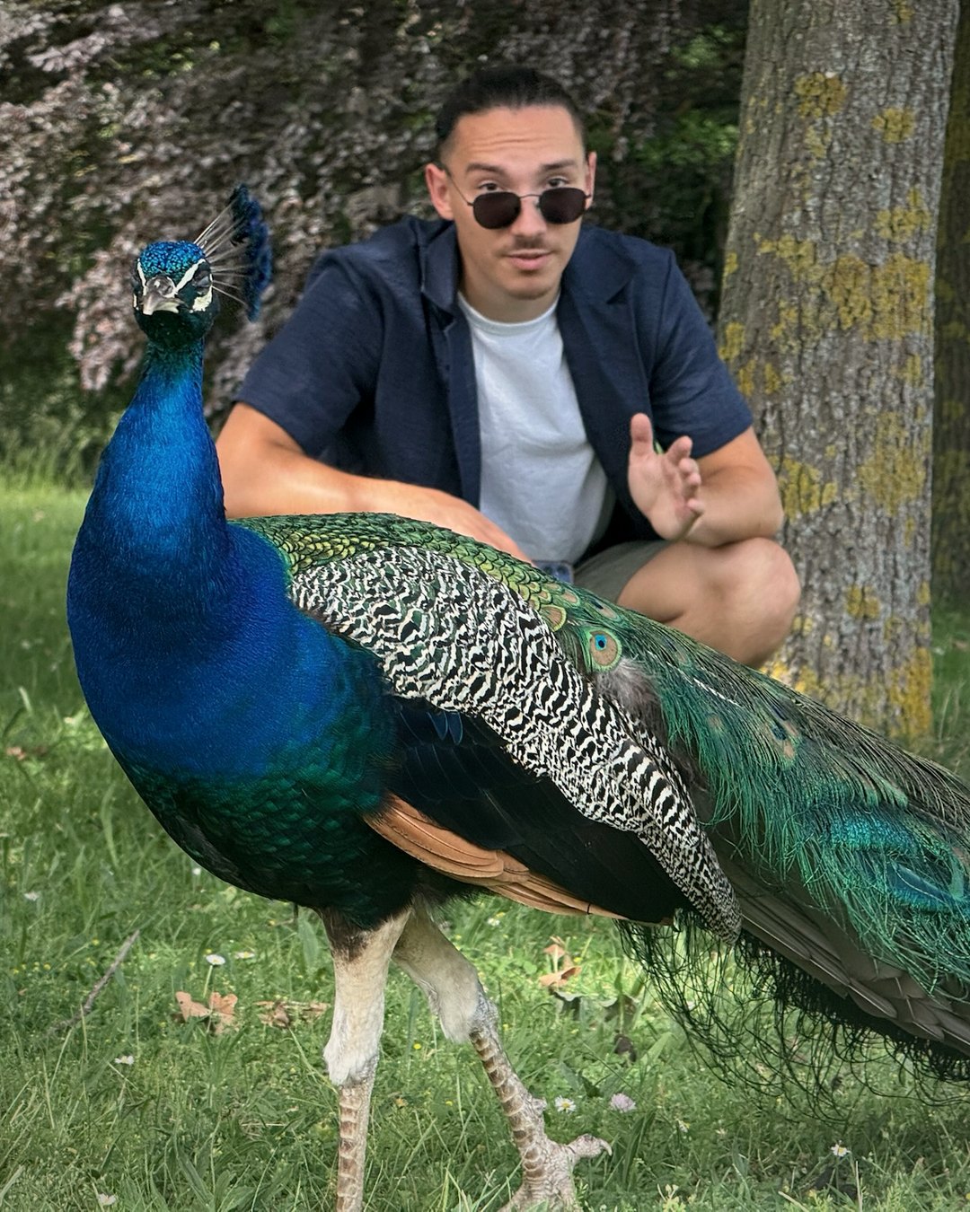 Quentin Pedehontaa, monteur vidéo Fautœil, accroupi derrière un paon